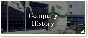 Company History