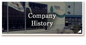 Company History