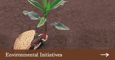 Environmental Initiatives