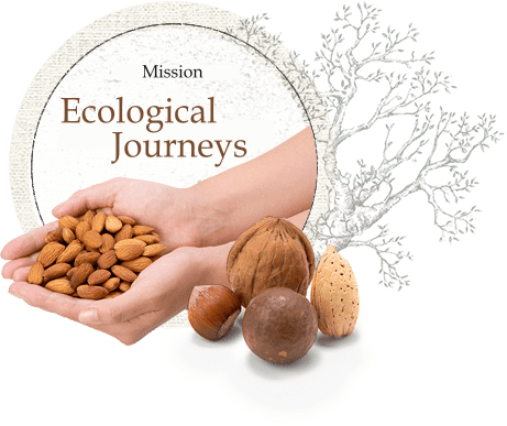 Ecological Journeys