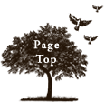 PageTop