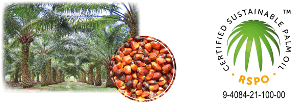 Roundtable on Sustainable Palm Oil