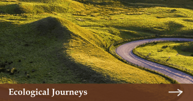 Ecological Journeys