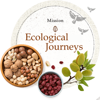 Ecological Journeys